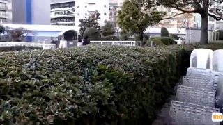 暖暖视频免费视频播放中文版